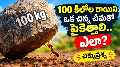 100 కిలోల రాయిని ఒక చిన్న చీమతో పైకెత్తాలి.. ఎలా? చిక్కుప్రశ్న