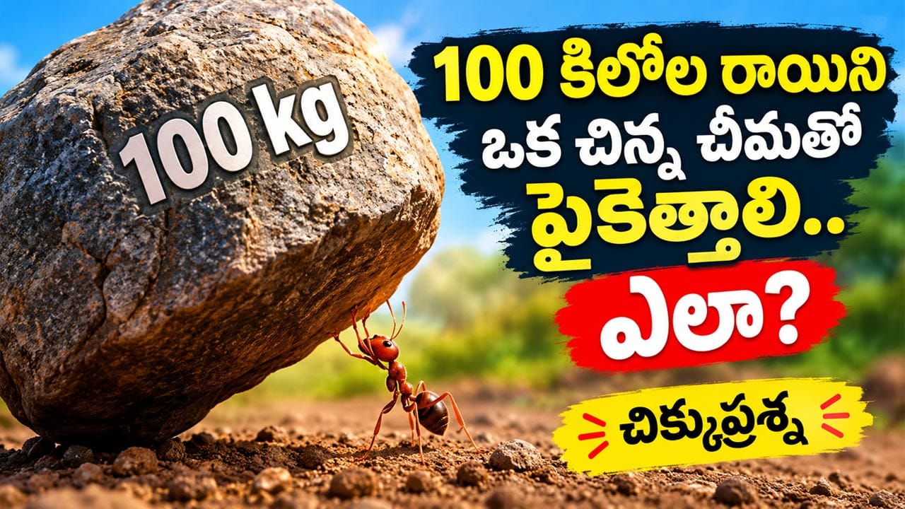 100 కిలోల రాయిని ఒక చిన్న చీమతో పైకెత్తాలి.. ఎలా? చిక్కుప్రశ్న