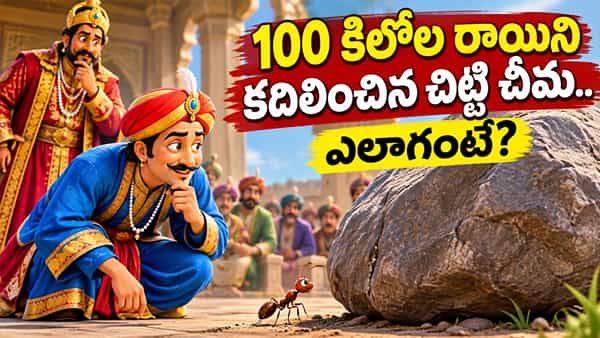 100 కిలోల రాయిని కదిలించిన చిట్టి చీమ.. అసలు రహస్యం ఇదే!