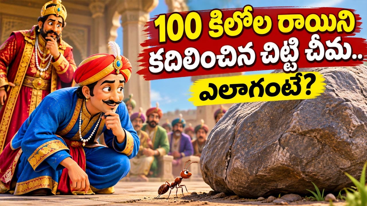 100 కిలోల రాయిని కదిలించిన చిట్టి చీమ.. అసలు రహస్యం ఇదే!