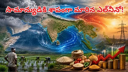 నిత్యావసర వస్తువుల ఉత్పత్తిపై ఎల్‌నీనో ఎఫెక్ట్‌
