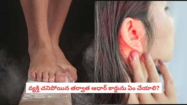 Hearing Problems: చెవి సమస్యలు ఉంటే నడకలో కూడా తేడాలు ఎందుకుంటాయి?.. అసలు కారణమిదే