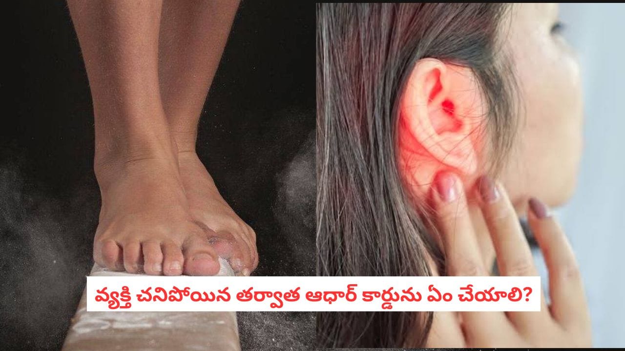 Hearing Problems: చెవి సమస్యలు ఉంటే నడకలో కూడా తేడాలు ఎందుకుంటాయి?.. అసలు కారణమిదే