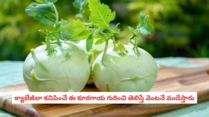 క్యాబేజీలా కనిపించే ఈ కూరగాయ గురించి తెలిస్తే వెంటనే వండేస్తారు