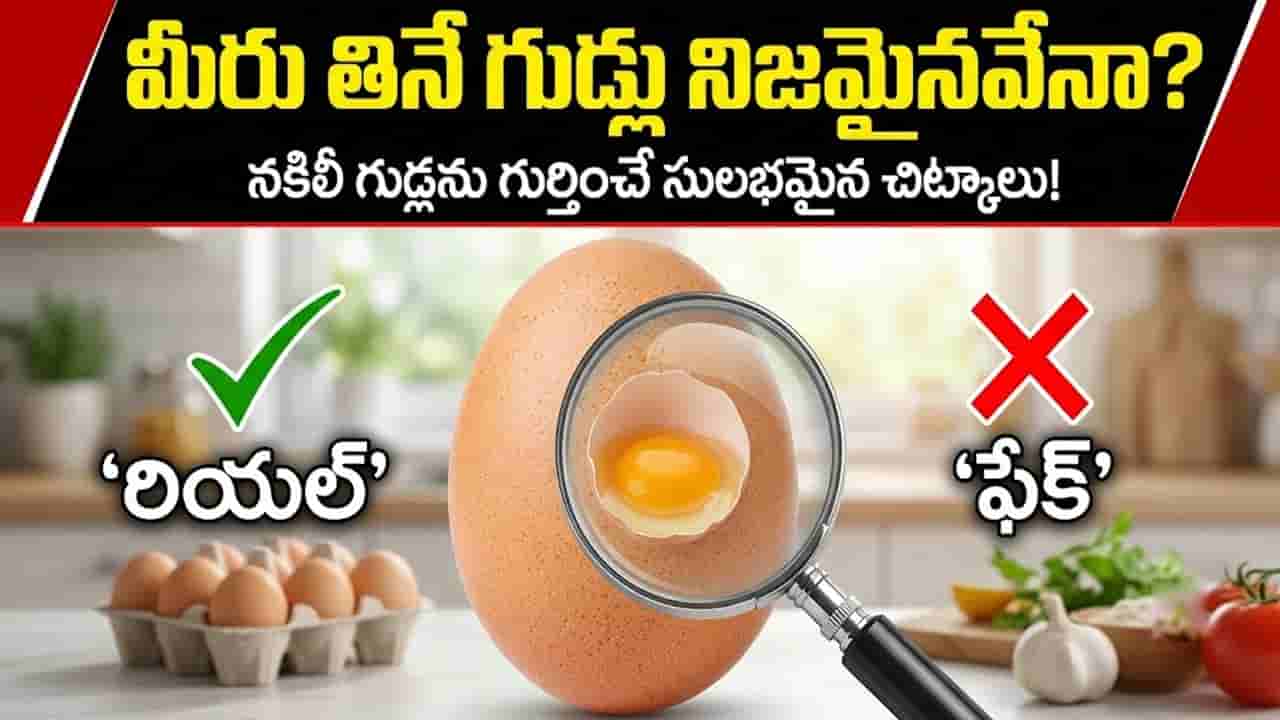 మీరు తినే గుడ్లు నిజమైనవేనా? నకిలీ ఎగ్స్ ని ఇంట్లోనే గుర్తించే సులభమైన చిట్కాలు!