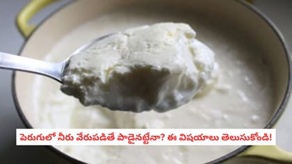 పెరుగులో నీరు వేరుపడితే పాడైనట్టేనా? ఈ విషయాలు తెలుసుకోండి!