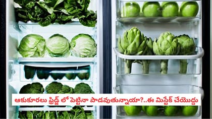ఆకుకూరలు ఫ్రిడ్జ్ లో పెట్టినా పాడవుతున్నాయా?..ఈ మిస్టేక్ చేయొద్దు