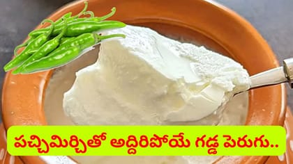 పెరుగు రుచిగా, గడ్డలా రావాలంటే ఇలా చేయండి..