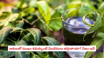 ఆకులతో ముఖం కడుక్కుంటే మొటిమలు తగ్గుతాయా? నిజం ఇదే
