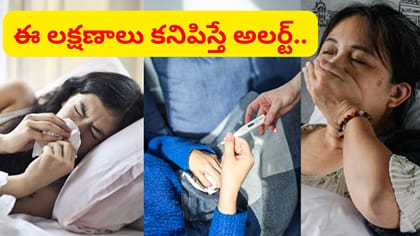 జ్వరం అని నిర్లక్ష్యం వద్దు.. పెరుగుతున్న ఫ్లూ బాధితులు..