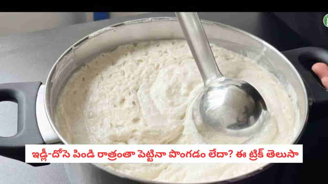Dosa Batter Fermentation: ఇడ్లీ పిండి పొంగడం లేదా? ఈ ఒక్క కాడను తుంచి వేస్తే ఏం జరుగుతుందంటే!