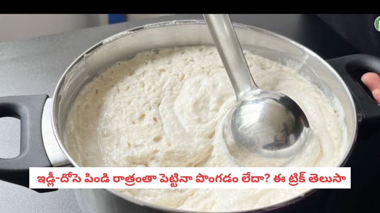 Dosa Batter Fermentation: ఇడ్లీ పిండి పొంగడం లేదా? ఈ ఒక్క కాడను తుంచి వేస్తే ఏం జరుగుతుందంటే!