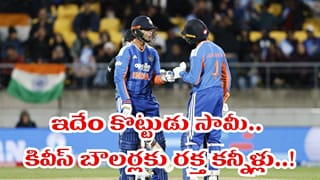 ఓవైపు పులి, మరోవైపు సింహం.. కివీస్ గడ్డపై రికార్డుల సునామీ.. టీ20 హిస్టరీనే మార్చేశారుగా..!
