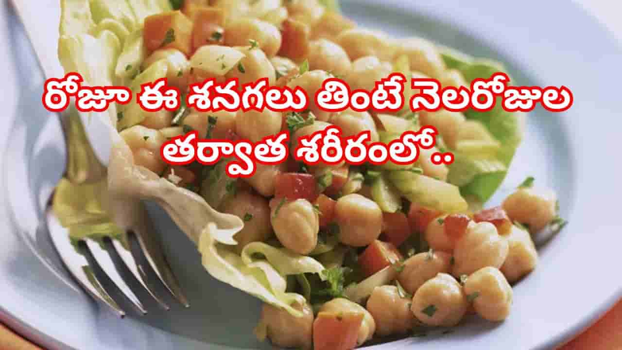 రోజూ తెల్ల శనగలు తింటున్నారా? నెలరోజుల తర్వాత శరీరంలో జరిగే మార్పులు ఇవే.. తప్పక ట్రై చేయండి!