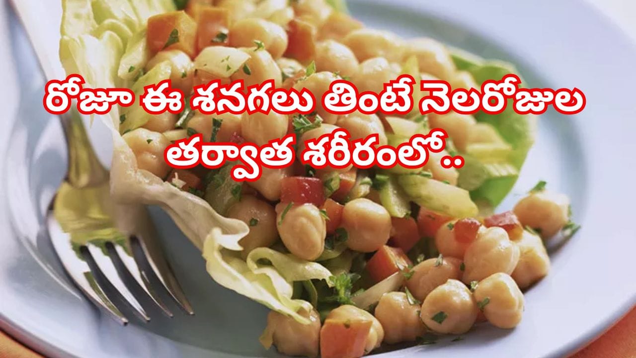 రోజూ తెల్ల శనగలు తింటున్నారా? నెలరోజుల తర్వాత శరీరంలో జరిగే మార్పులు ఇవే.. తప్పక ట్రై చేయండి!
