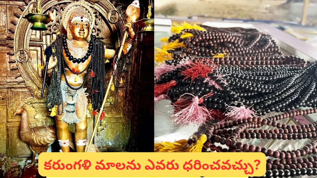 కరుంగళి మాల ధరిస్తున్నారా? ఈ నియమాలు తప్పక తెలుసుకోండి.. ఎప్పుడు ధరించకూడదంటే?