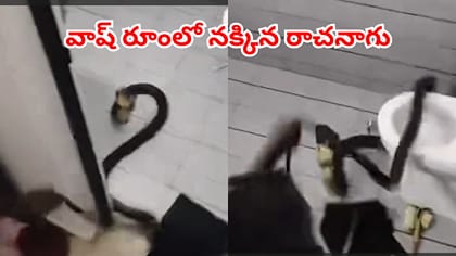 వాష్‌రూంలోంచి వింత శబ్ధాలు.. డోర్ ఓపెన్ చేసి చూడగా.. వామ్మో..