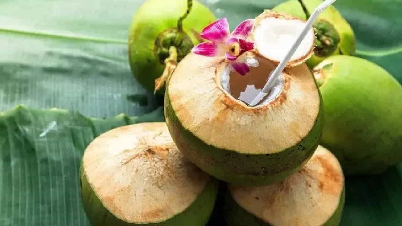 పరగడుపున కొబ్బరినీళ్లు తాగడం వల్ల అందులోని సహజ ఎంజైమ్‌లు జీర్ణక్రియను వేగవంతం చేస్తాయి. ఇవి కడుపులో ఎసిడిటీ, గ్యాస్, ఉబ్బరం వంటి సమస్యలను నయం చేస్తాయి. రోజంతా జీర్ణ వ్యవస్థ సక్రమంగా పనిచేయడానికి ఇది తోడ్పడుతుంది.