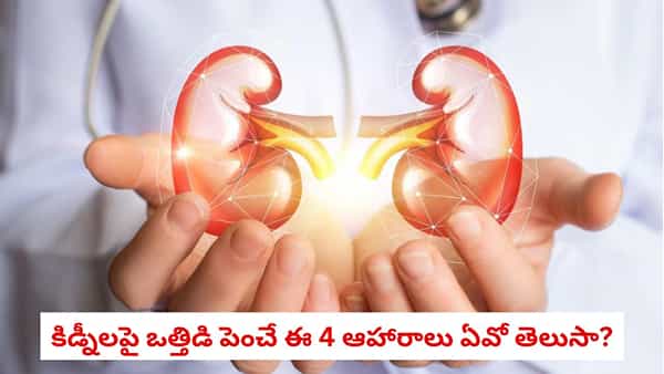 Kidney Health Tips: కిడ్నీలపై ఒత్తిడి పెంచే ఈ 4 ఆహారాలు ఏవో తెలుసా? రోజూ తినేవారైతే ఈ జాగ్రత్తలు పాటించండి!