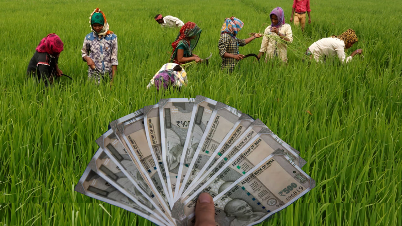 Central Government: రైతులకు కేంద్రం అదిరిపోయే సూపర్ న్యూస్.. నేరుగా అకౌంట్లోకి రూ.5 లక్షలు.. ఈ అర్హతలు మస్ట్..