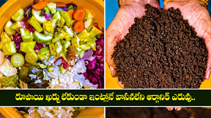 రూపాయి ఖర్చు లేకుండా ఇంట్లోనే వాసనలేని ఆర్గానిక్ ఎరువు..