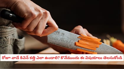 రోజూ వాడే కిచెన్ కత్తి ఎలా ఉండాలి? కొనేముందు ఈ విషయాలు తెలసుకోండి