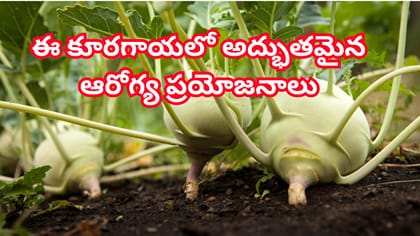 శరీరానికి ఎన్నో పోషకాలను అందించే అద్భుతమైన కూరగాయ..నెలకొసారైనా