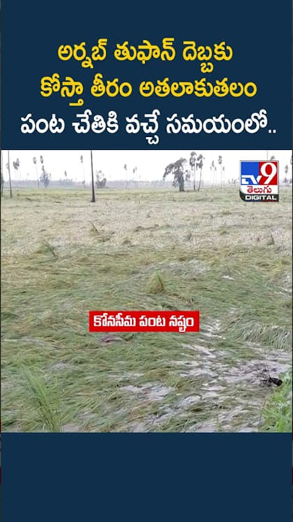 అర్నబ్ తుఫాన్ పంజా.. కోనసీమ రైతులకు గుండెకోత