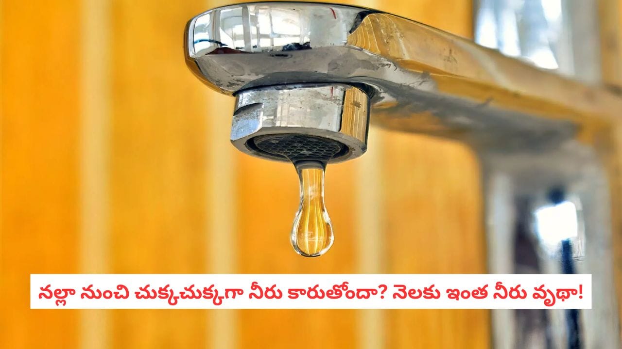 Tap Water Waste: నల్లా నుంచి చుక్కచుక్కగా నీరు కారుతోందా? వదిలేస్తే మీకయ్యే లాస్ ఎంతంటే?