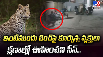 ఇంటిముందు బెంచ్‌పై కూర్చున్న వ్యక్తులు క్షణాల్లో ఊహించని సీన్‌