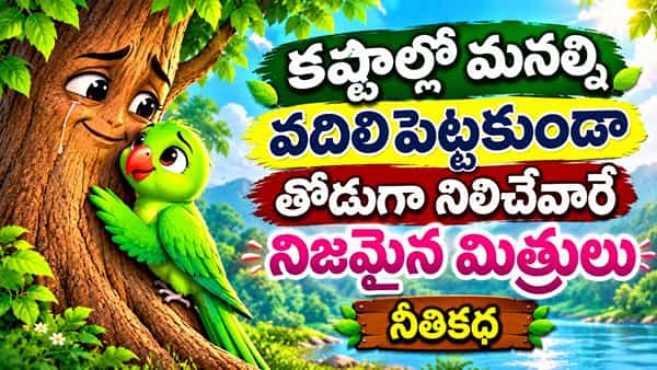Moral Story: సుఖాల్లోనే కాదు.. కష్టాల్లోనూ తోడుండటమే నిజమైన స్నేహం.. చిట్టి చిలుకమ్మ కథ