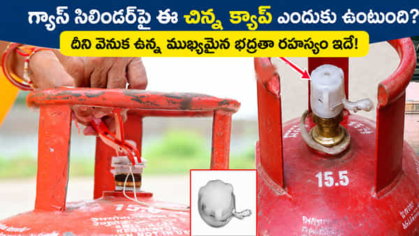 LPG Gas Cylinder: వామ్మో దీని వెనుక ఇంత సీక్రెట్ ఉందా? గ్యాస్ సిలిండర్పై ఈ చిన్న క్యాప్ ఎందుకు ఉంటుంది?