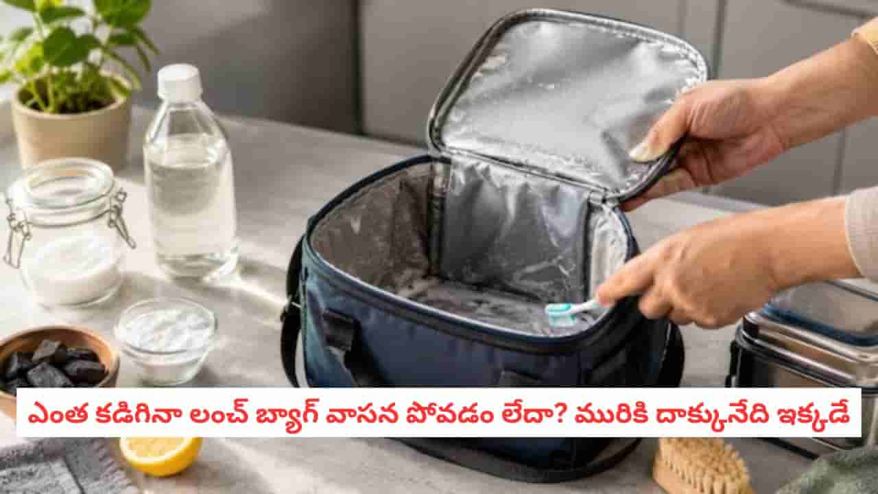 Lunch Bag Cleaning: లంచ్ బ్యాగ్లో పచ్చి వాసన వస్తోందా? ఈ చిన్న టిప్స్తో లోపలి మురికి కూడా మాయం!