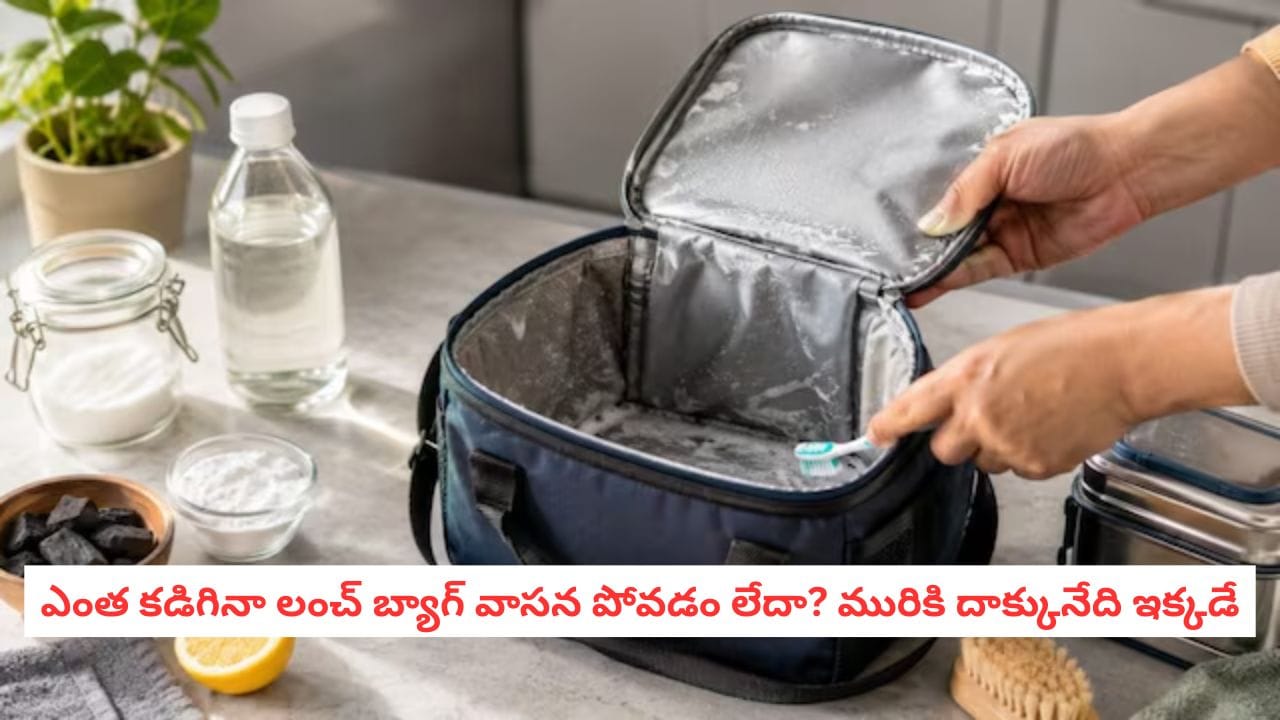 Lunch Bag Cleaning: లంచ్ బ్యాగ్లో పచ్చి వాసన వస్తోందా? ఈ చిన్న టిప్స్తో లోపలి మురికి కూడా మాయం!