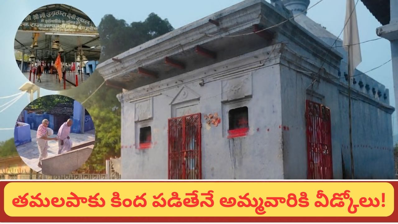 Navratri: 9 కాదు.. 16 రోజుల నవరాత్రులు! 500 ఏళ్ల నాటి పుస్తకంతో పూజలు.. ఈ ఆలయం ప్రత్యేకత ఇదే!