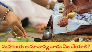మహాలయ అమావాస్య నాడు పితృదేవతలను ఎందుకు పూజించాలి? గోత్రం తెలియకపోతే ఏం చేయాలి?