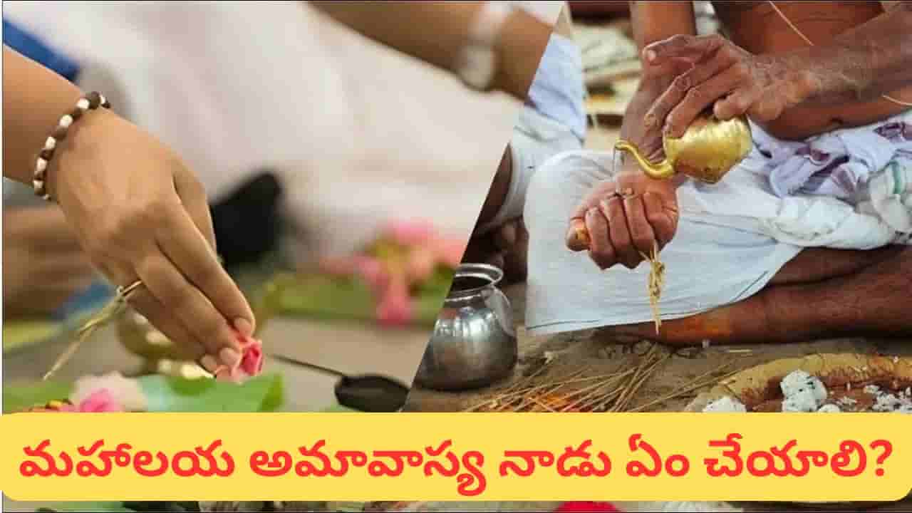 మహాలయ అమావాస్య నాడు పితృదేవతలను ఎందుకు పూజించాలి? గోత్రం తెలియకపోతే ఏం చేయాలి?
