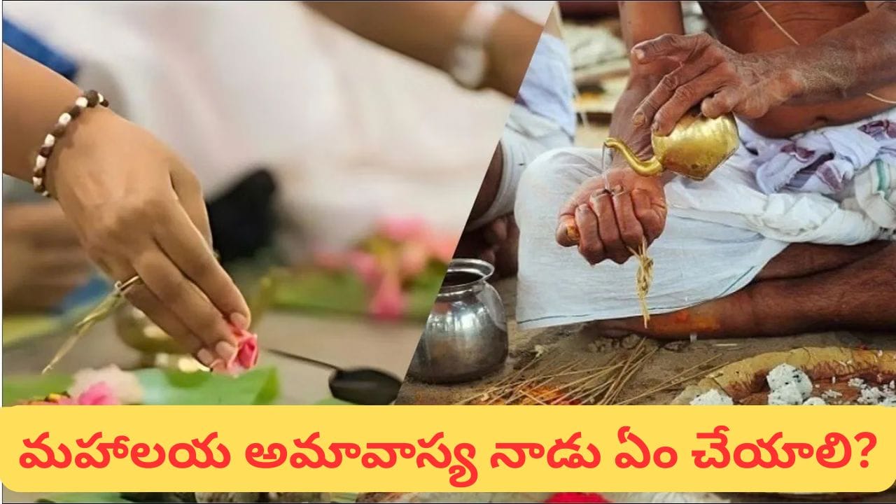 మహాలయ అమావాస్య నాడు పితృదేవతలను ఎందుకు పూజించాలి? గోత్రం తెలియకపోతే ఏం చేయాలి?
