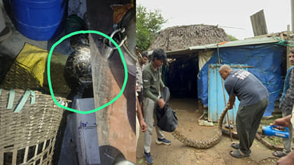 బయట జోరున వర్షం.. గుడిసెలో నుంచి వింత సౌండ్..