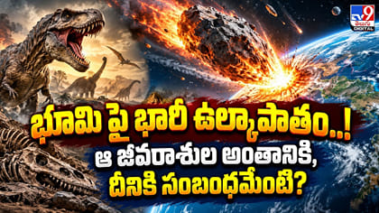 భూమి పై భారీ ఉల్కాపాతం..! ఆ జీవరాశుల అంతానికి, దీనికి సంబంధమేంటి?