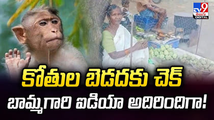 కోతుల బెడదకు చెక్.. బామ్మగారి ఐడియా అదిరిందిగా!