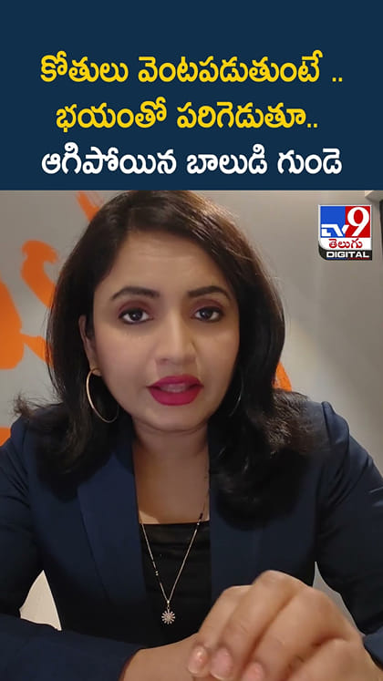 కోతులు వెంటపడుతుంటే.. భయంతో పరిగెడుతూ.. ఆగిపోయిన బాలుడి గుండె