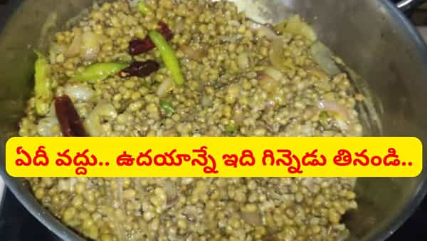 ఫుల్లుగా విటమిన్లు, ఖనిజాలు, ఫైబర్.. ఉదయాన్నే గిన్నెడు తింటే ఏనుగులాంటి బలం.. ఆ సమస్యే ఉండదు..