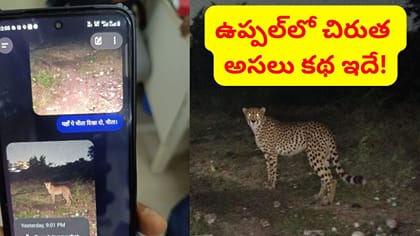 AIతో చిరుతను సృష్టించి వైరల్‌ చేశాడు.. పోలీసులకు చిక్కిన సచిన్‌