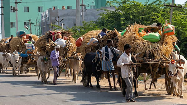Telangana: వాన లేదు.. పని లేదు.. ఇక ఈడ బ్రతికేది ఎట్టా సారూ..!