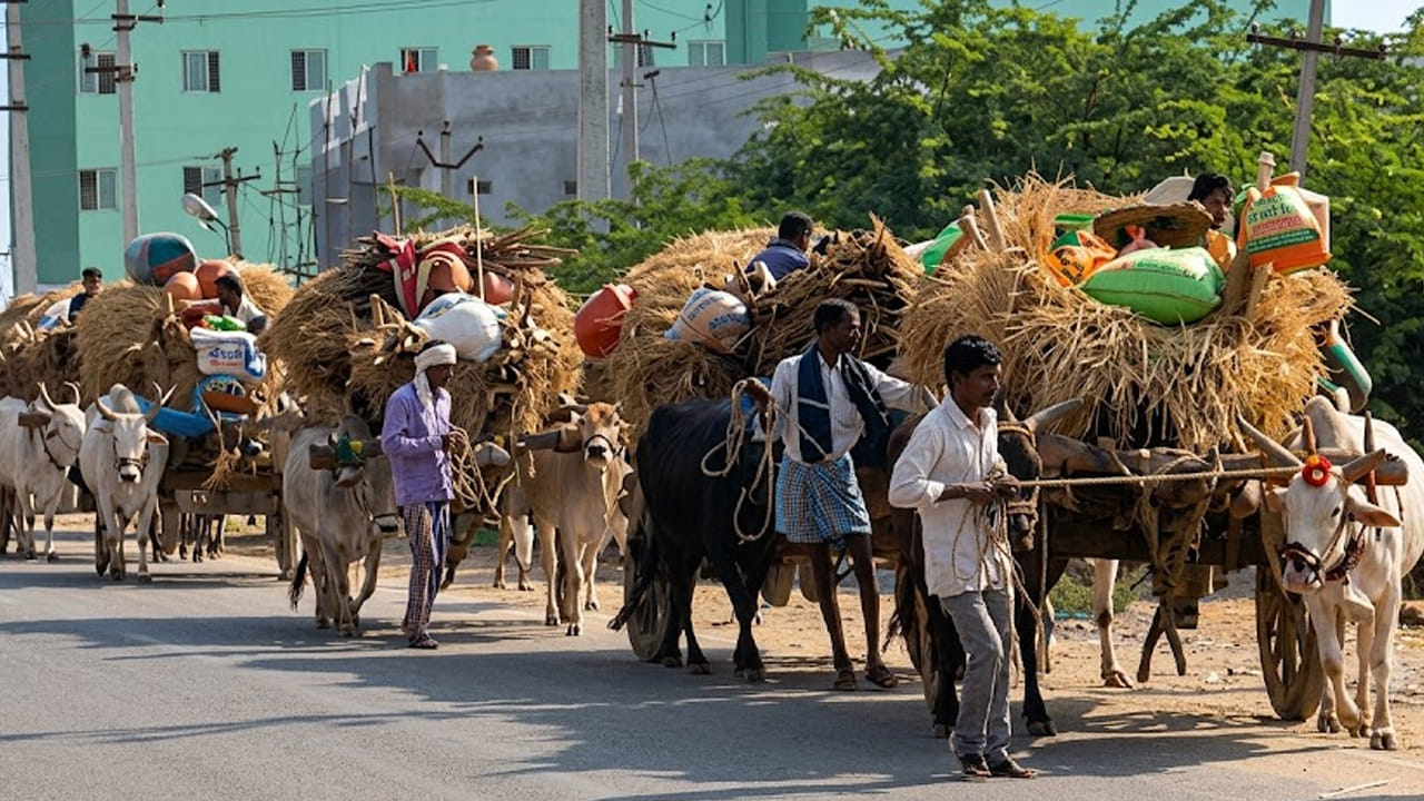 Telangana: వాన లేదు.. పని లేదు.. ఇక ఈడ బ్రతికేది ఎట్టా సారూ..!
