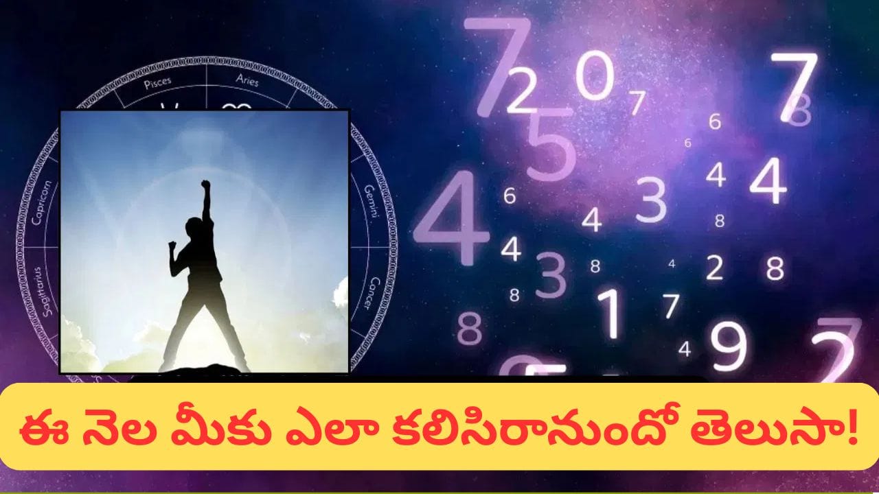 నవంబర్ 2026 అంకశాస్త్ర ఫలితాలు: ఈ 3 సంఖ్యల వారికి అదృష్టం!