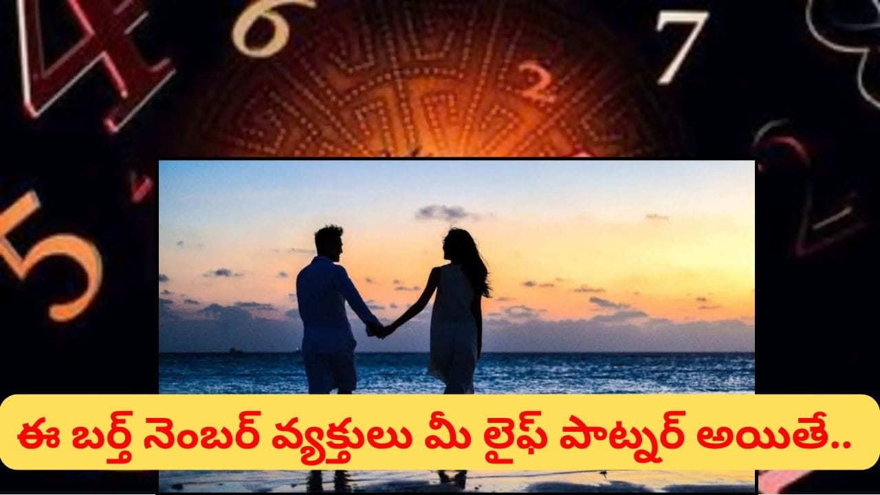 Numerology Love and Relationships: సంఖ్యాశాస్త్రం ప్రకారం ప్రతి సంఖ్యకు ప్రత్యేకమైన వ్యక్తిత్వ లక్షణాలు ఉంటాయని నమ్ముతారు. పుట్టిన తేదీ ఆధారంగా వ్యక్తుల స్వభావం, ఆలోచనా విధానం, ఇతరులతో వ్యవహరించే తీరు గురించి కొన్ని అంచనాలు వేయవచ్చని సంఖ్యాశాస్త్ర నిపుణులు చెబుతుంటారు. ముఖ్యంగా ప్రేమ, వివాహం వంటి సంబంధాల విషయంలో కొందరు వ్యక్తులు నమ్మకంగా, నిజాయితీగా, బాధ్యతగా వ్యవహరిస్తారని విశ్వసిస్తారు. ఈ క్రమంలో రాడిక్స్ 2, 6, 8 సంఖ్యలకు ప్రత్యేక ప్రాధాన్యత ఉందని చెబుతారు. 
