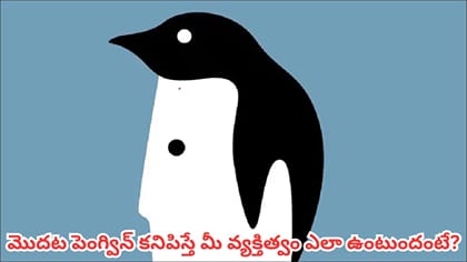 ఈ చిత్రంలో మీరు మొదట ఏం చూశారు? పెంగ్వినా.. మనిషి ముఖమా?..