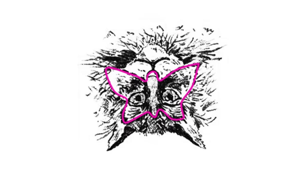 Optical Illusion Test (2)